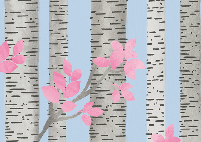 Birch Tree Velvet, Spring Pastels - Roman Blind - Image 7